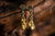 14k Yellow Gold Alaskan Gold Nugget Drop Earrings