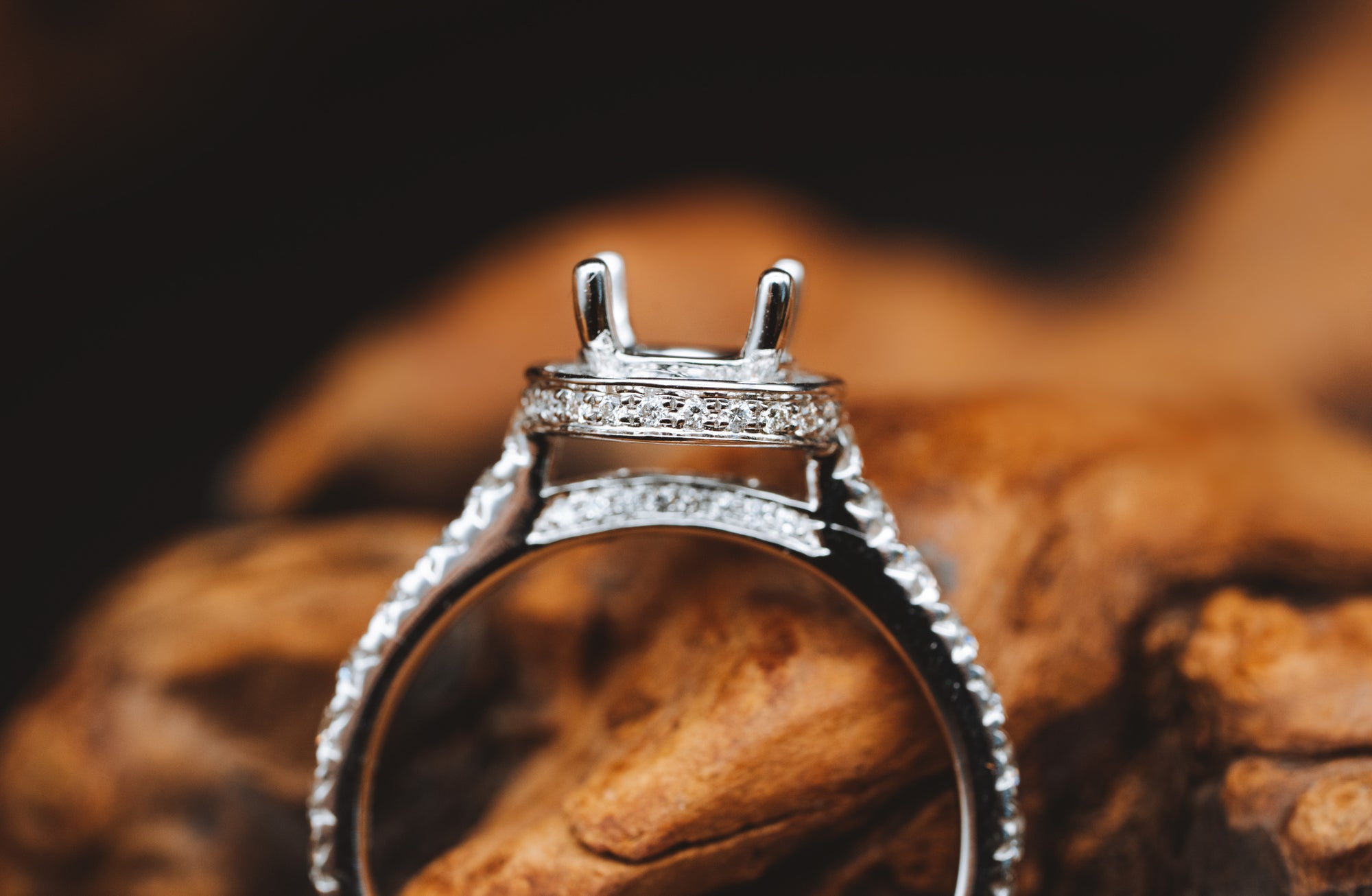 14k White Gold Diamond Mounting